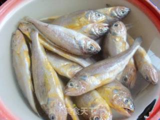 香煎小黄花鱼的做法步骤：3
