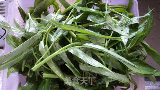 快手蒜蓉尖椒水菜的做法步骤：2