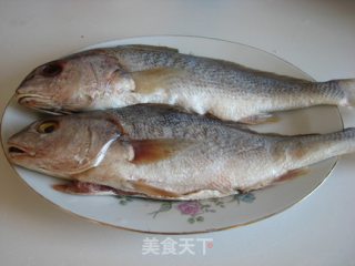 豉香黄姑鱼的做法步骤：5