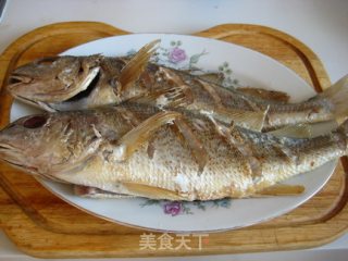 豉香黄姑鱼的做法步骤：5