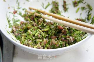 猪肉茴香盒子的做法步骤：2