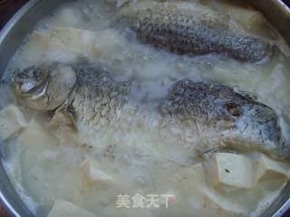 鲫鱼豆腐的做法步骤：2