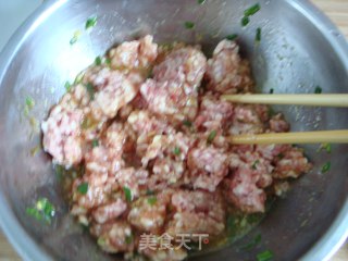 紫菜虾皮肉饺的做法步骤：2