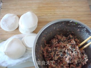 紫菜虾皮肉饺的做法步骤：2
