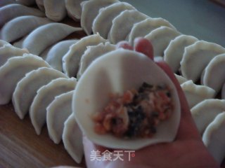 紫菜虾皮肉饺的做法步骤：2