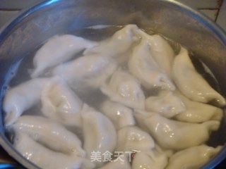 紫菜虾皮肉饺的做法步骤：2