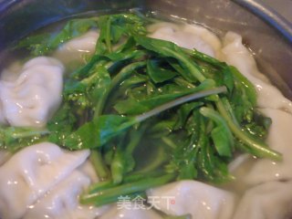 紫菜虾皮肉饺的做法步骤：2