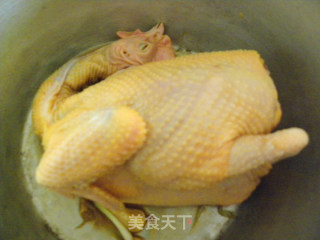 鼓油鸡的做法步骤：2