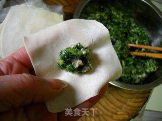 荠菜鲜肉馄饨的做法步骤：4
