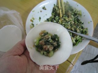 脆皮煎饺的做法步骤：2