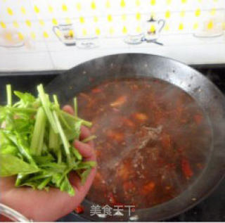 热火朝天——麻辣火锅鸡的做法步骤：2