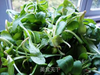 香干马兰头的做法步骤：2