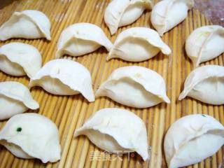韭菜猪肉水煎包的做法步骤：5