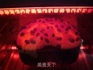 葡萄干戚风蛋糕的做法步骤：4