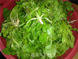 阳春三月－地菜饼的做法步骤：2