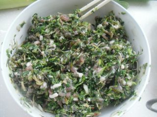 荠菜肉馅饺子的做法步骤：2
