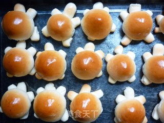 小乌龟餐包的做法步骤：2