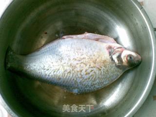 孔雀开屏的做法步骤：2