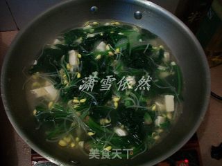 菠菜豆芽汤的做法步骤：2