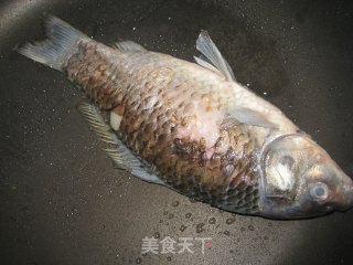 鲫鱼汤的做法步骤：2