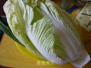白菜猪肉水煎包的做法步骤：2