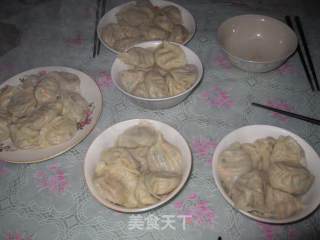 虾皮饺子的做法步骤：2