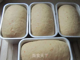橙香燕麦小吐司的做法步骤：2