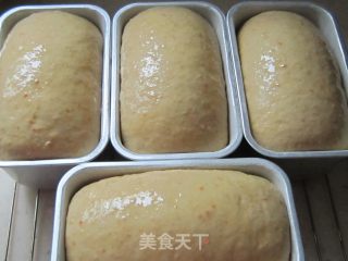 橙香燕麦小吐司的做法步骤：2