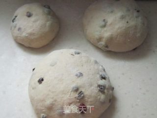 苹果燕麦葡萄干吐司的做法步骤：2
