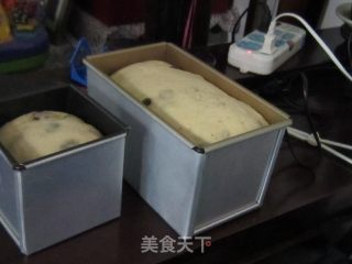 苹果燕麦葡萄干吐司的做法步骤：2