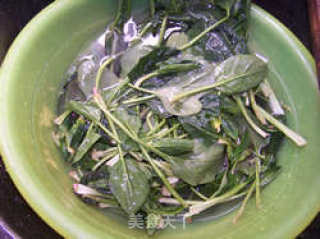 蒜蓉菠菜的做法步骤：2