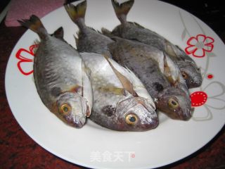 黄豆酱焖泥猛鱼的做法步骤：3