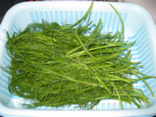 茴香饼的做法步骤：2
