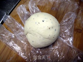 健康粗粮豆渣饼的做法步骤：2