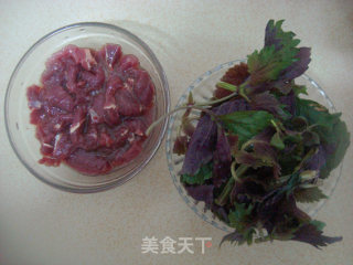 紫苏浸牛肉的做法步骤：3