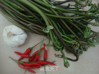 凉拌蕨菜的做法步骤：3