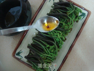 凉拌蕨菜的做法步骤：3