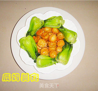 金钱挂玉树的做法步骤：2