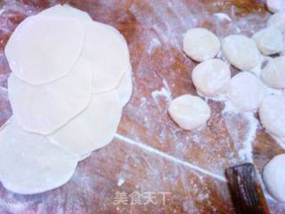 韭菜虾皮鸡蛋水饺的做法步骤：2