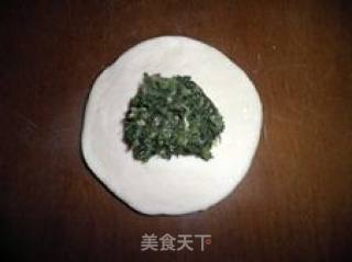荠菜包的做法步骤：3