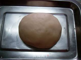 香酥肉饼的做法步骤：2