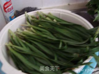 清炒韭菜的做法步骤：2
