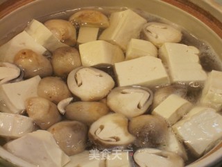 丝瓜豆腐羹的做法步骤：2