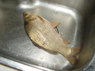 鲫鱼豆腐汤的做法步骤：2