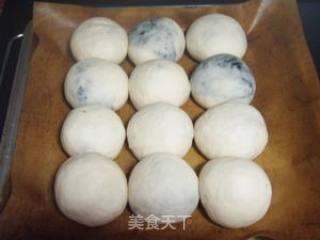 O难度麻酱花生小排包（老面法）的做法步骤：7