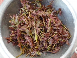盐水香椿的做法步骤：1