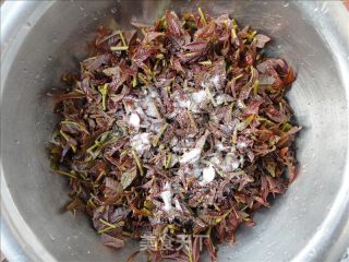 盐水香椿的做法步骤：5
