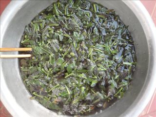 盐水香椿的做法步骤：6