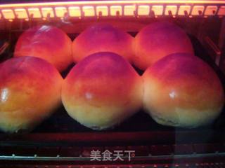 牛奶栗蓉小餐包的做法步骤：10