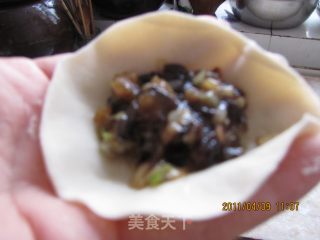 紫菜猪肉水饺的做法步骤：4